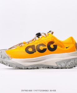 Nike ACG Mountain Fly Low GTX SE