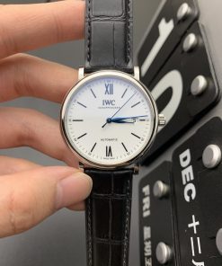 IWC Schaffhausen watch